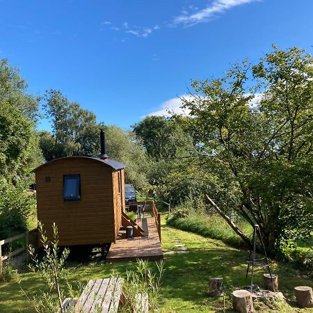 Herdwick Shepherd Hut Exeter Exteriör bild