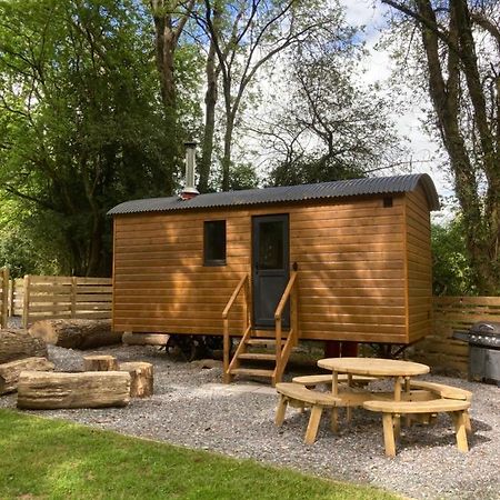Herdwick Shepherd Hut Exeter Exteriör bild