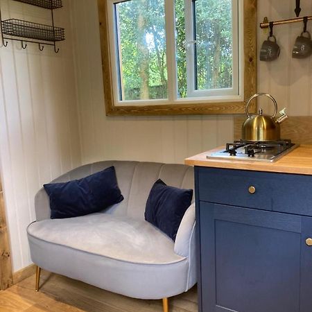 Herdwick Shepherd Hut Exeter Exteriör bild