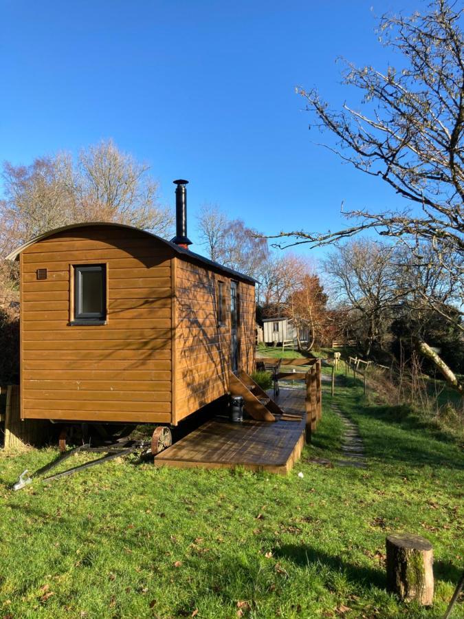 Herdwick Shepherd Hut Exeter Exteriör bild