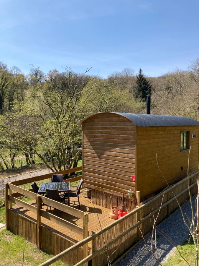 Herdwick Shepherd Hut Exeter Exteriör bild