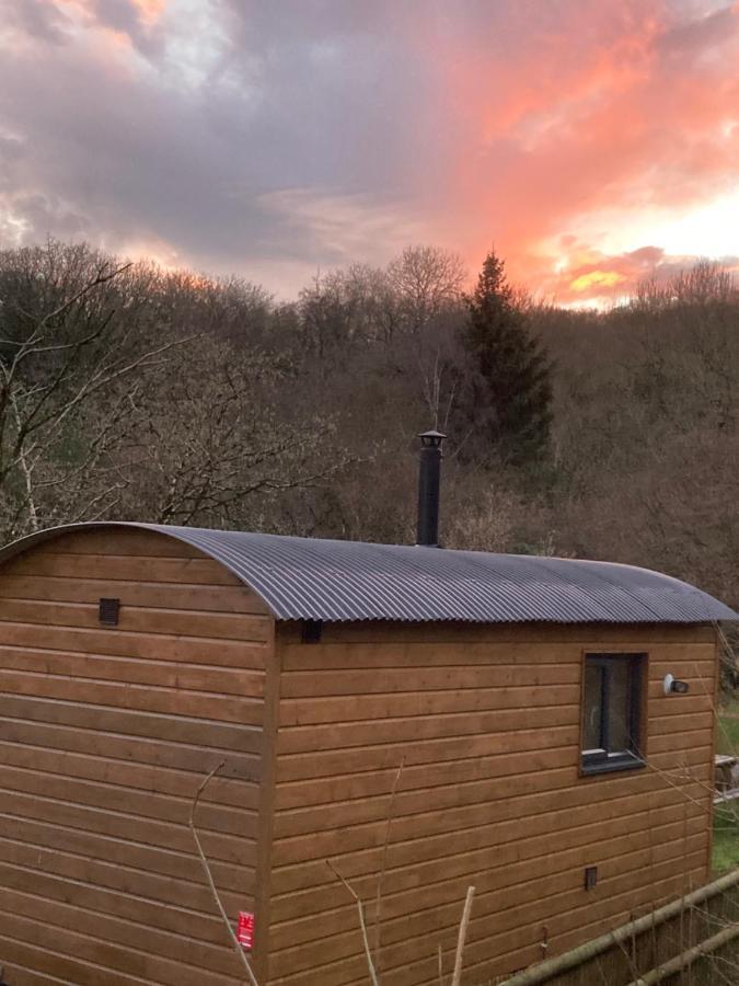 Herdwick Shepherd Hut Exeter Exteriör bild